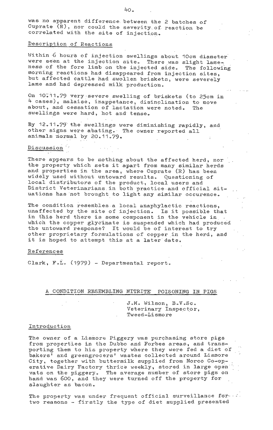 1980 page 40